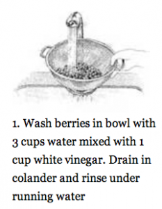 Vinegar Rinse for Berries