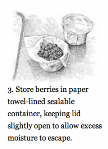 Store Berries Loosly