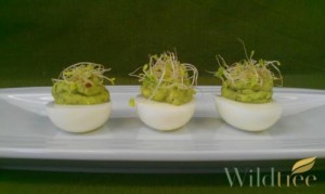 Avocado Eggs